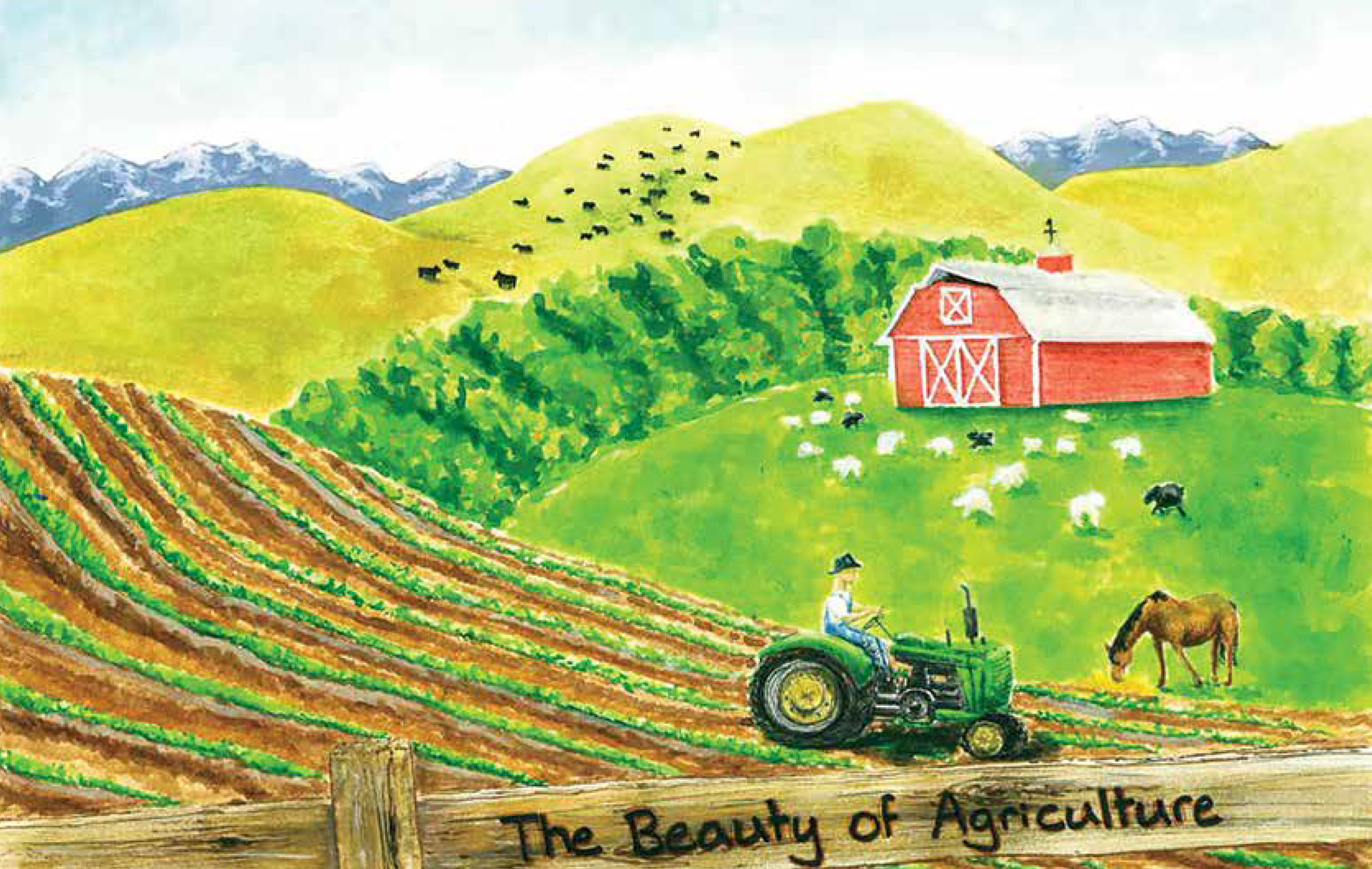 205-26 calendar art cover 2024-25 Calendar Cover