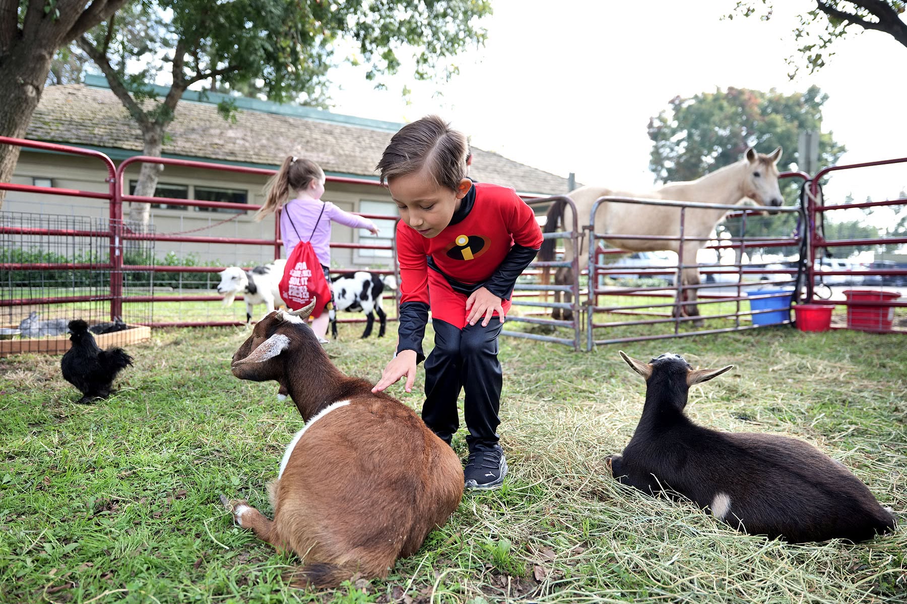 Students petting a goat at a petting zoo.
