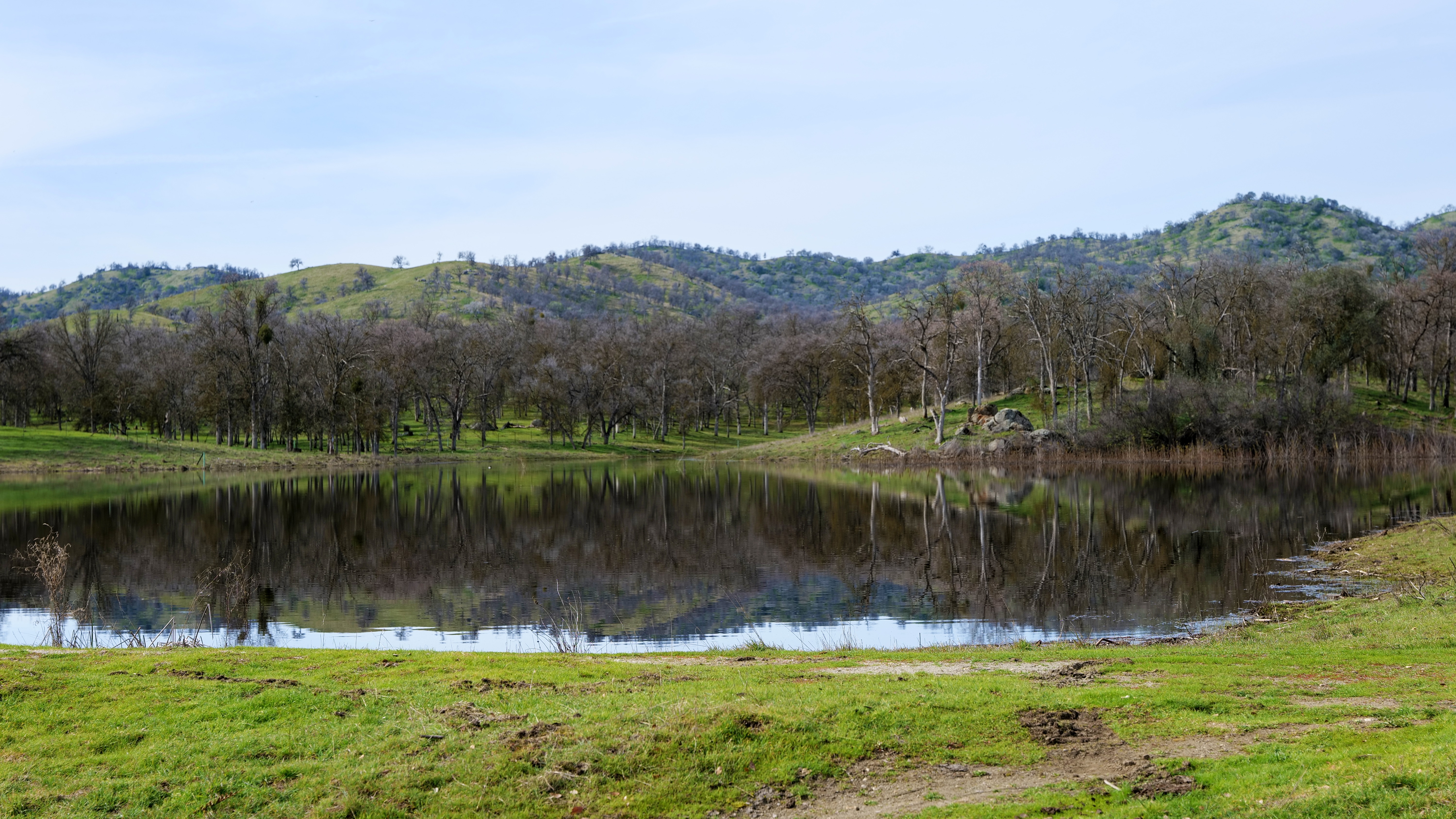 Lake at Circle J